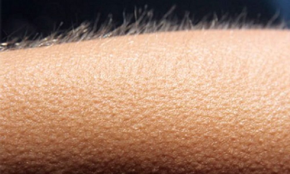 DEIXA GIRAR QUE A RUA VIROU BEMBÉ
DEIXA GIRAR QUE A RUA VIROU BEMBÉ
O MEU EGBÉ FAZ VALER O SEU LUGAR
LAROYÊ BEIJA FLOR, ALAFIÁ!