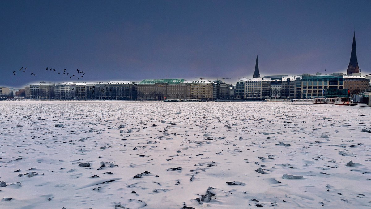 Frank (FOP) tweet media