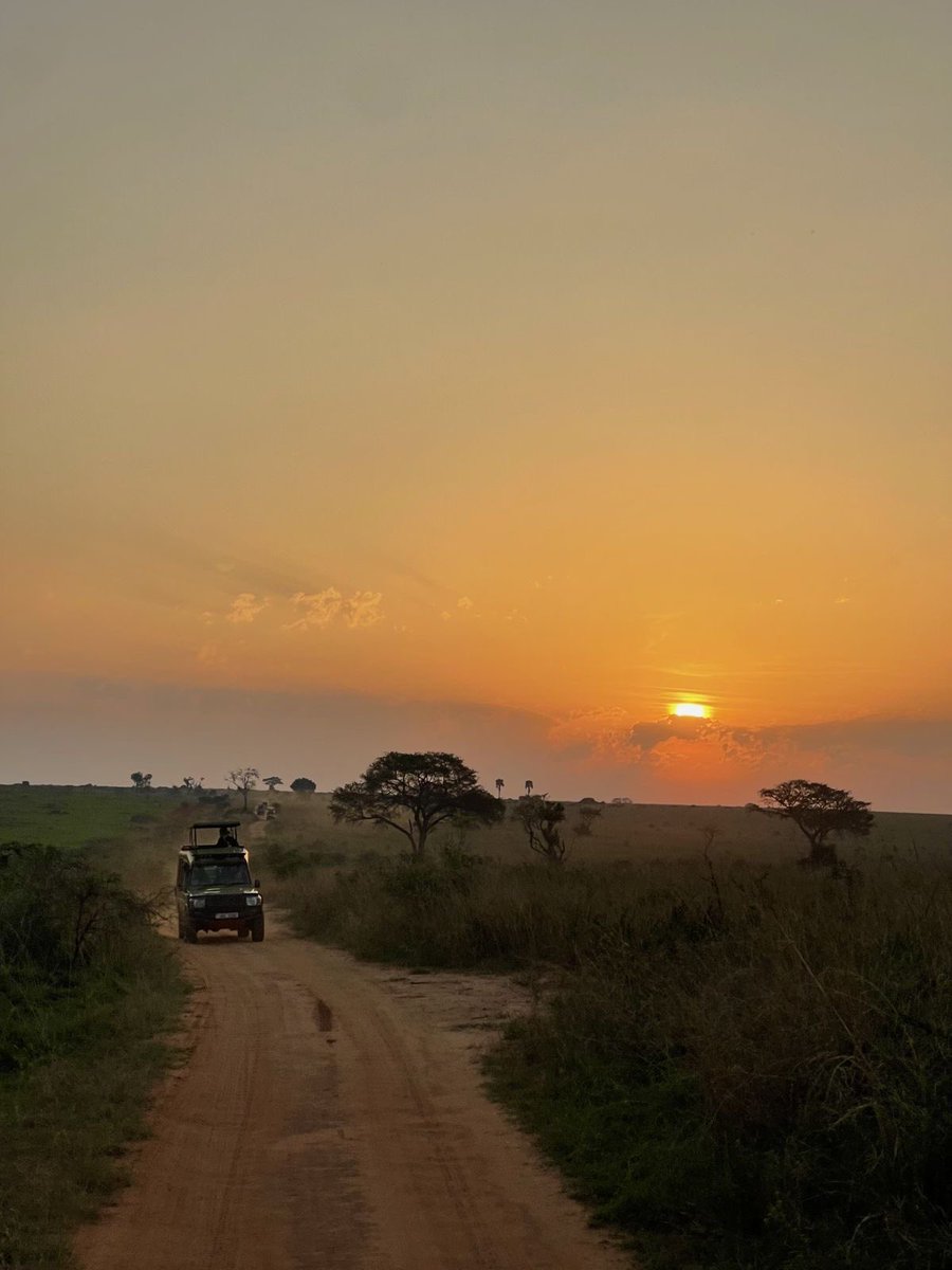 Roaming Uganda tweet media