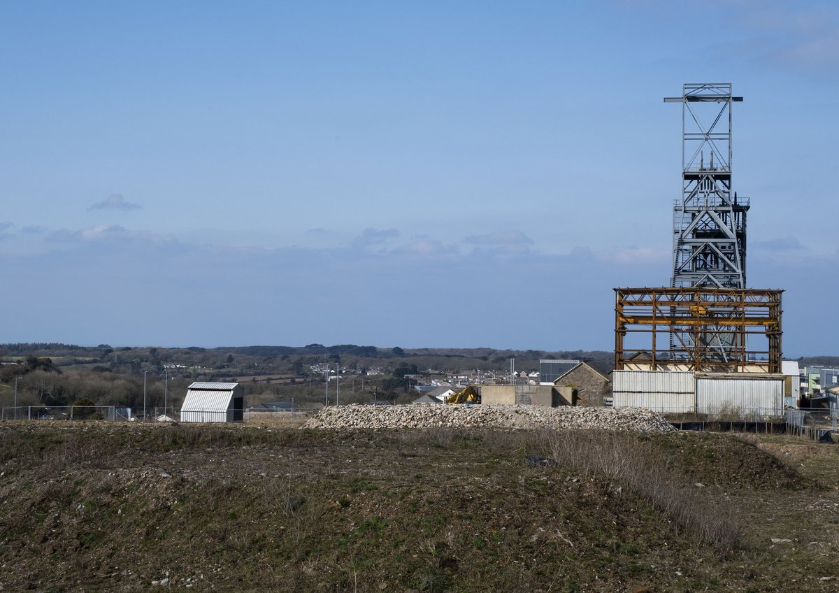 Tracey Thorne tweet media