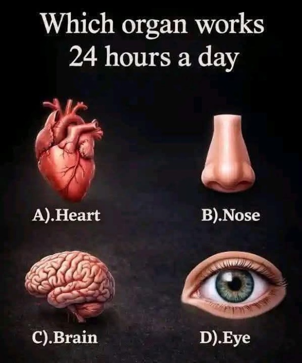 MuslimsMatters's tweet photo. Which Organ works 24hrs a day? https://t.co/xJnFnx93Hb