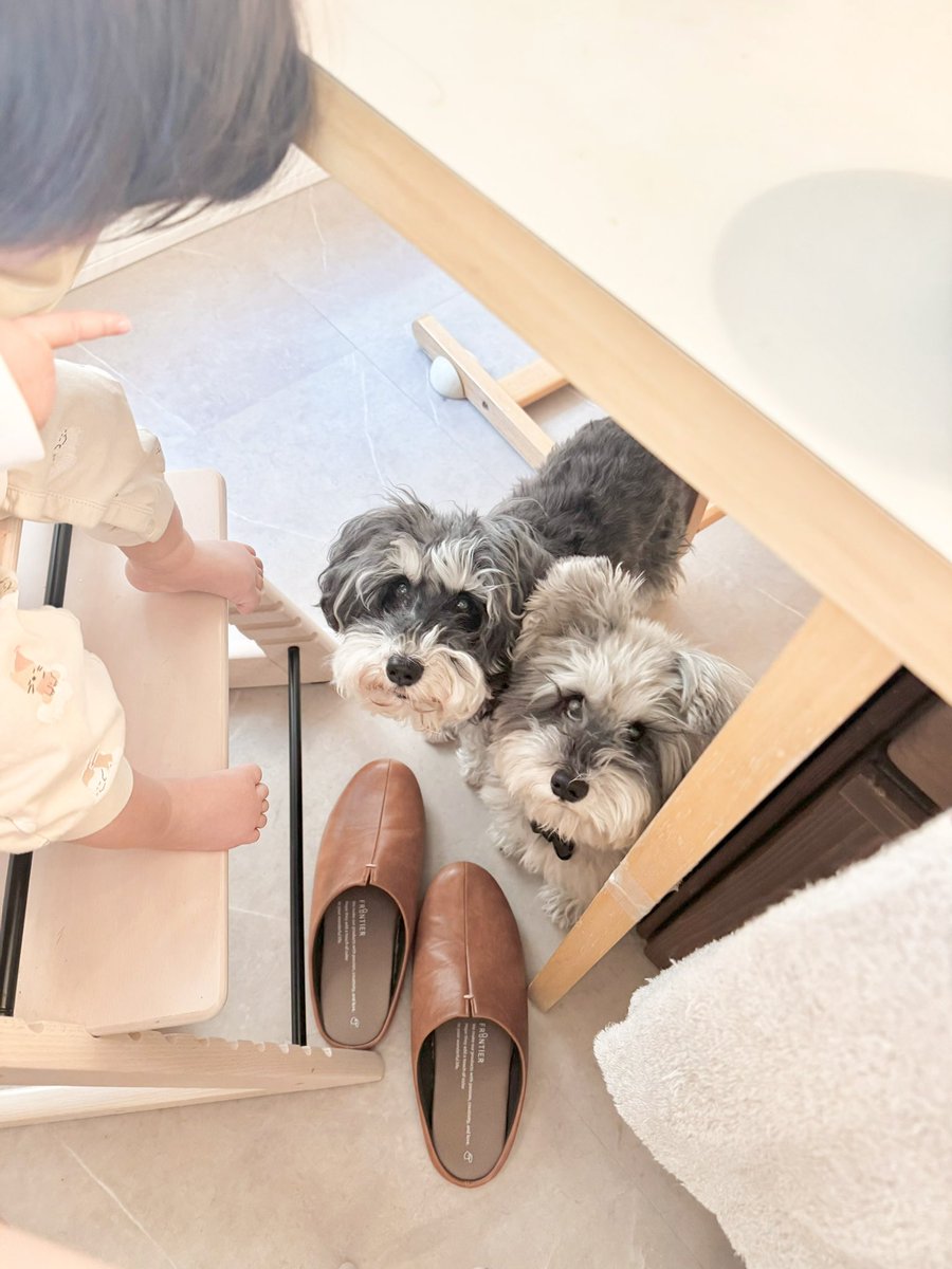 食べこぼし待機隊