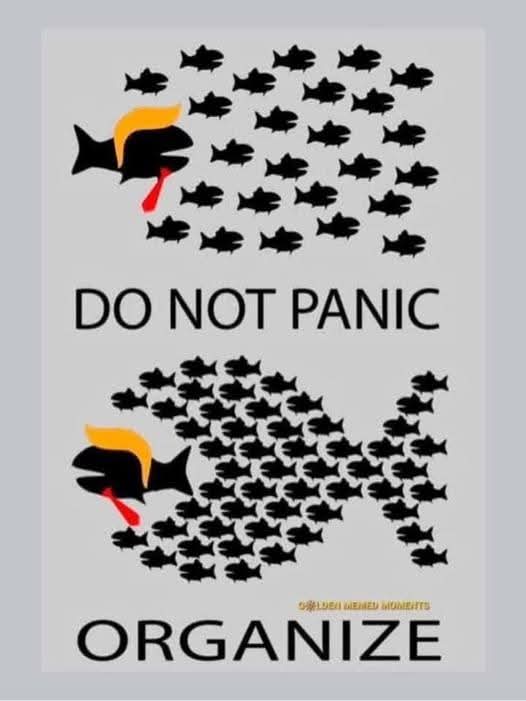 Siwaertz Griend tweet media