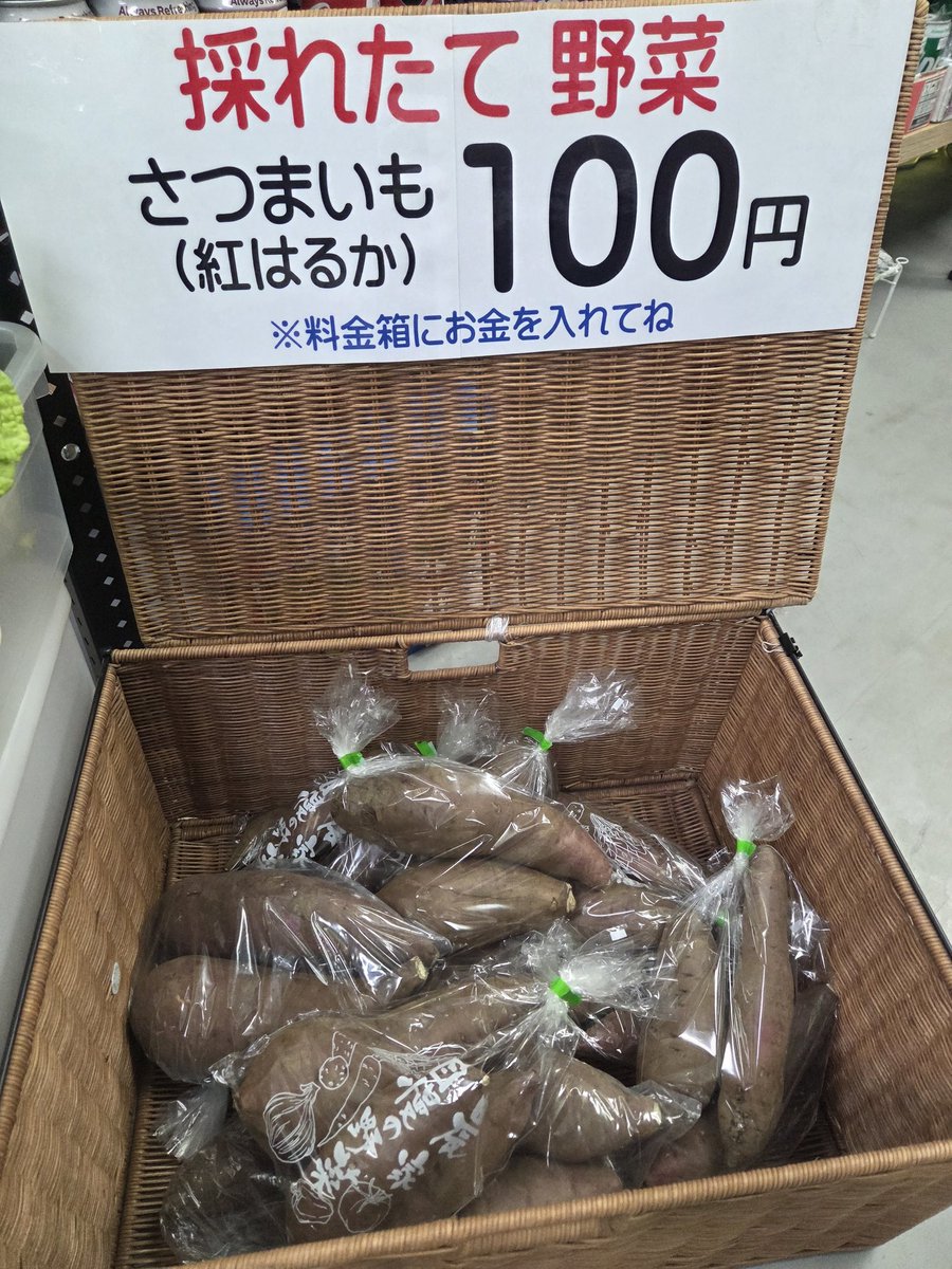 無人古着屋HaBit(ハビット) tweet media