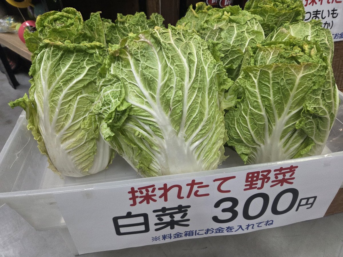 無人古着屋HaBit(ハビット) tweet media