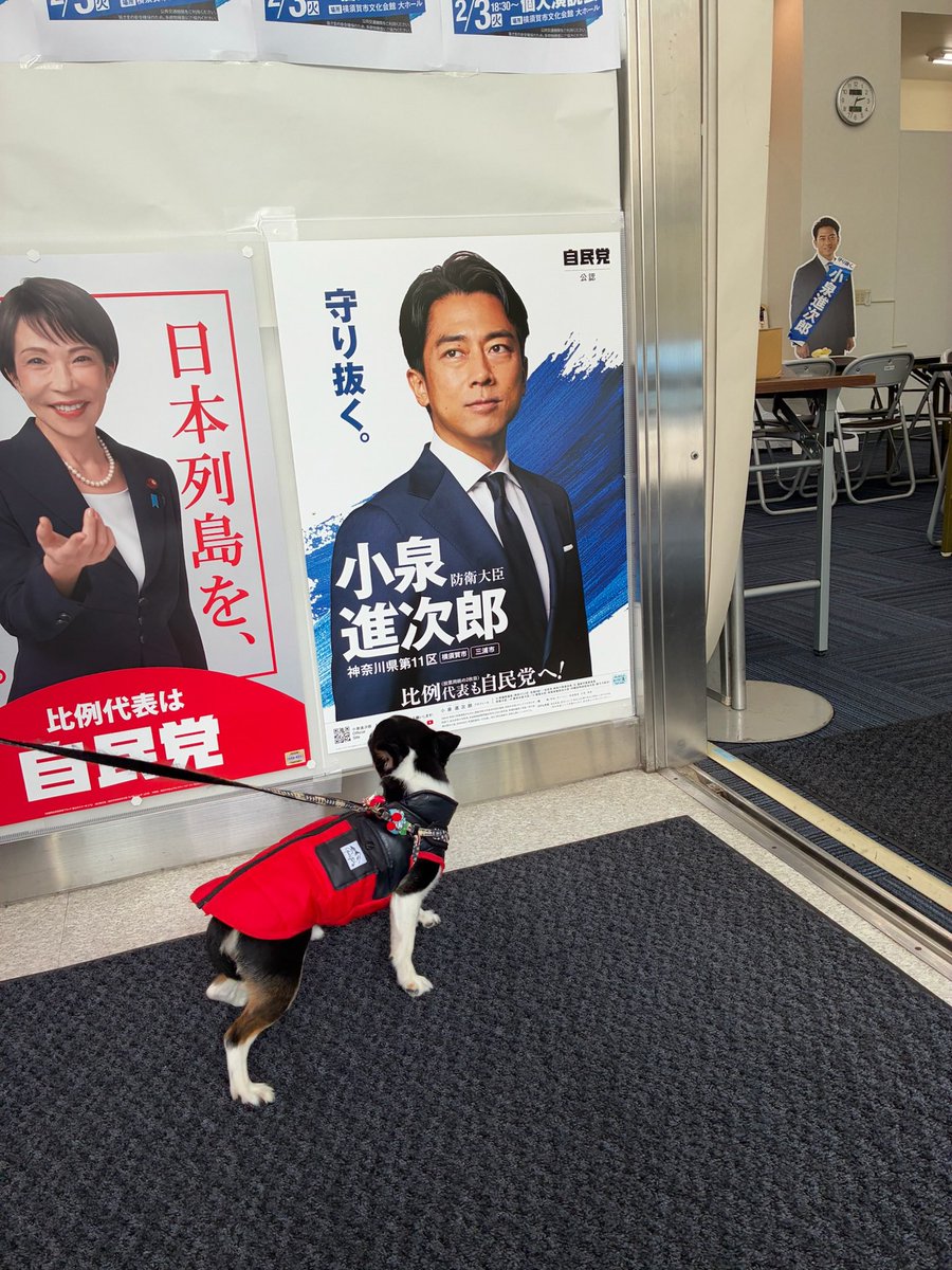 みっちゃん さん専用ページ みっちゃん🧅 (@MICCHAN8_8GENIE) / Posts / X