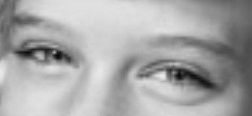 Bufo Calvin tweet media