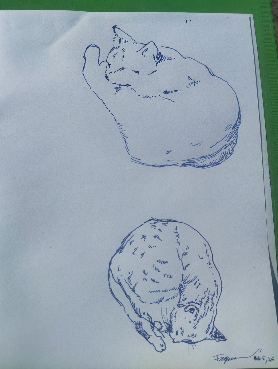 lifelines21's tweet photo. Early morning with friend 
#fountain_pen on paper https://t.co/SKWDtMKc6m