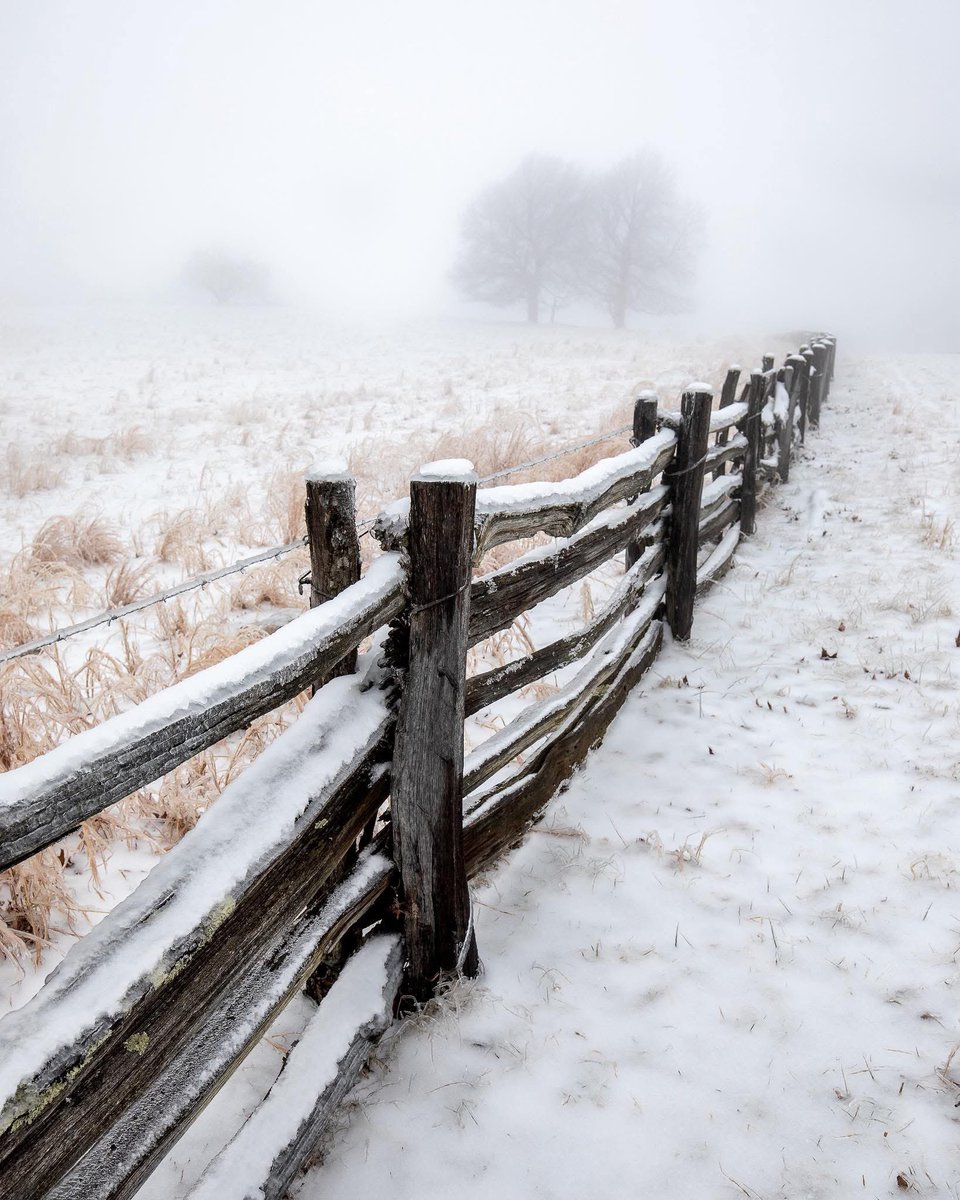 Waiting requires trust; leave anxiety behind; envelope peace; embrace patience. #leadership #quote #HR