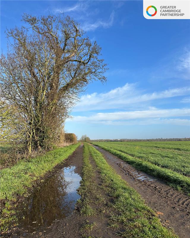 Greater Cambridge Partnership tweet media