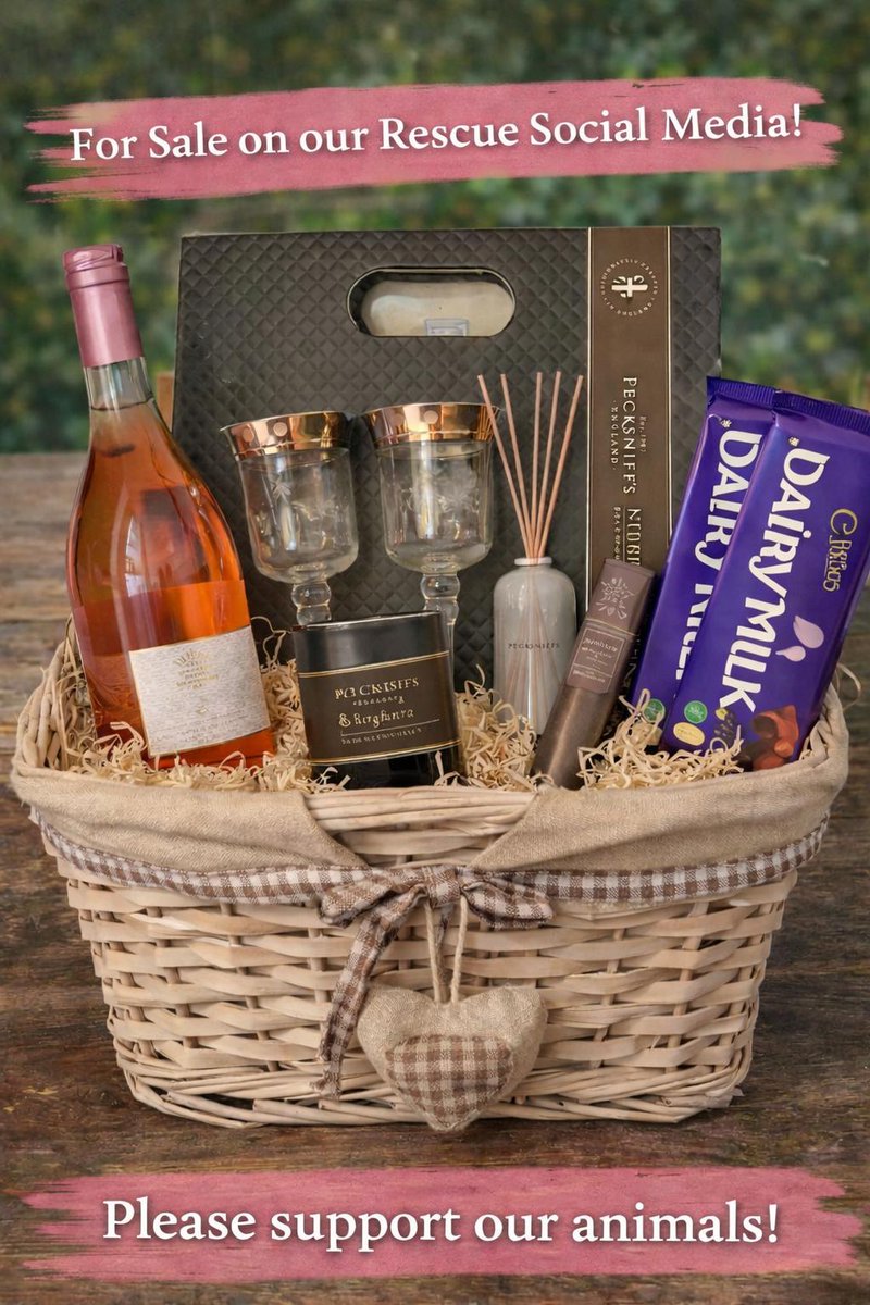 The Whiskers Network tweet media