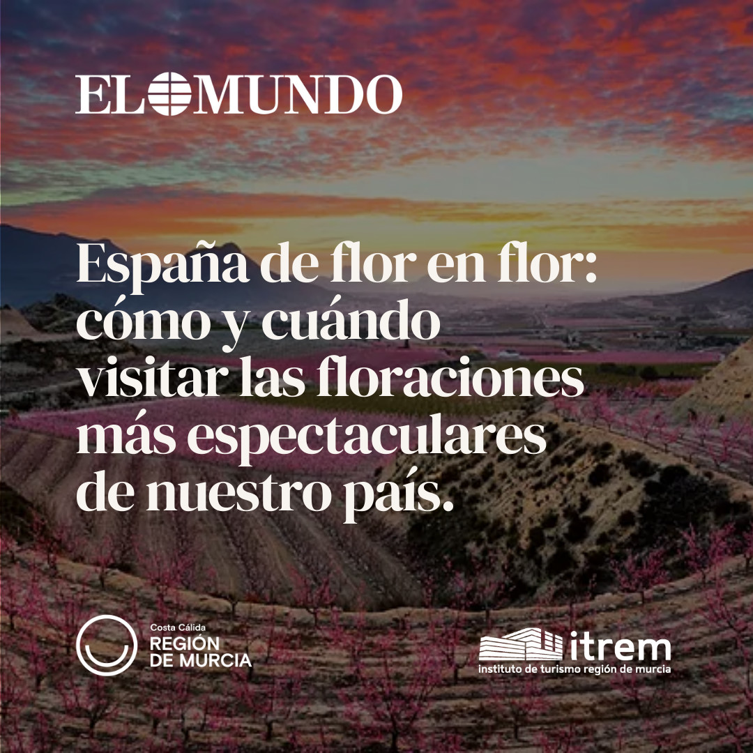 Las floraciones de la Región de Murcia, entre las más espectaculares del país 🌸

<a href="/elmundoes/">EL MUNDO</a> destaca a Mula, Cieza y Moratalla por la belleza única de sus paisajes en flor.

➡️ acortar.link/NLuwAN 

#TurismoRegióndeMurcia #RegióndeMurcia