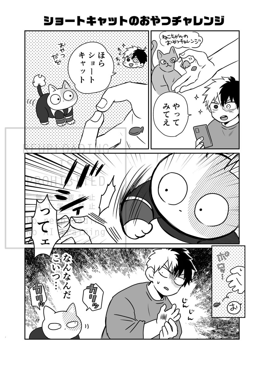 サンプル②🐈️(ページ抜粋) よろしくお願いします🩵🧡 | 010💝🌹2/8西