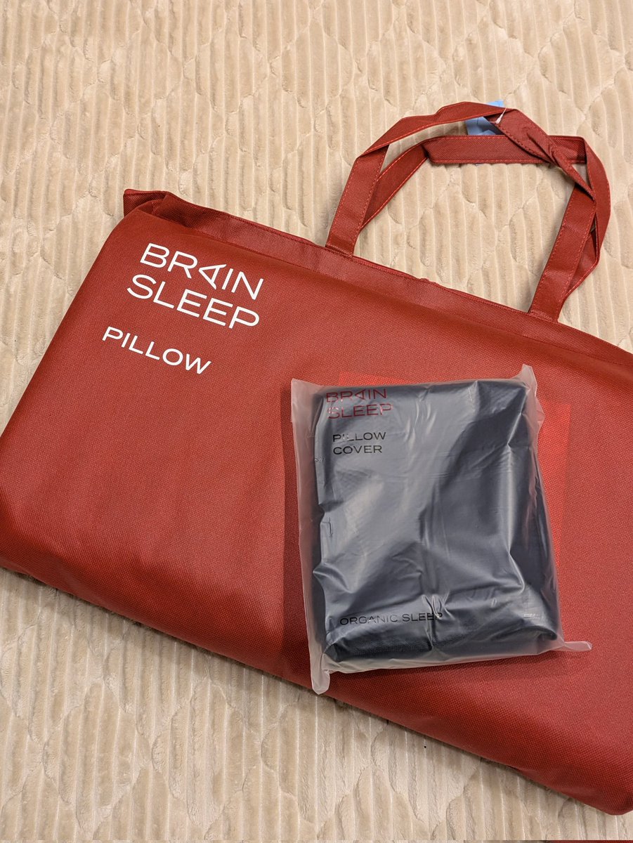 ㍿ブレインスリープ【公式】 (@brainsleep0508) / Posts / X