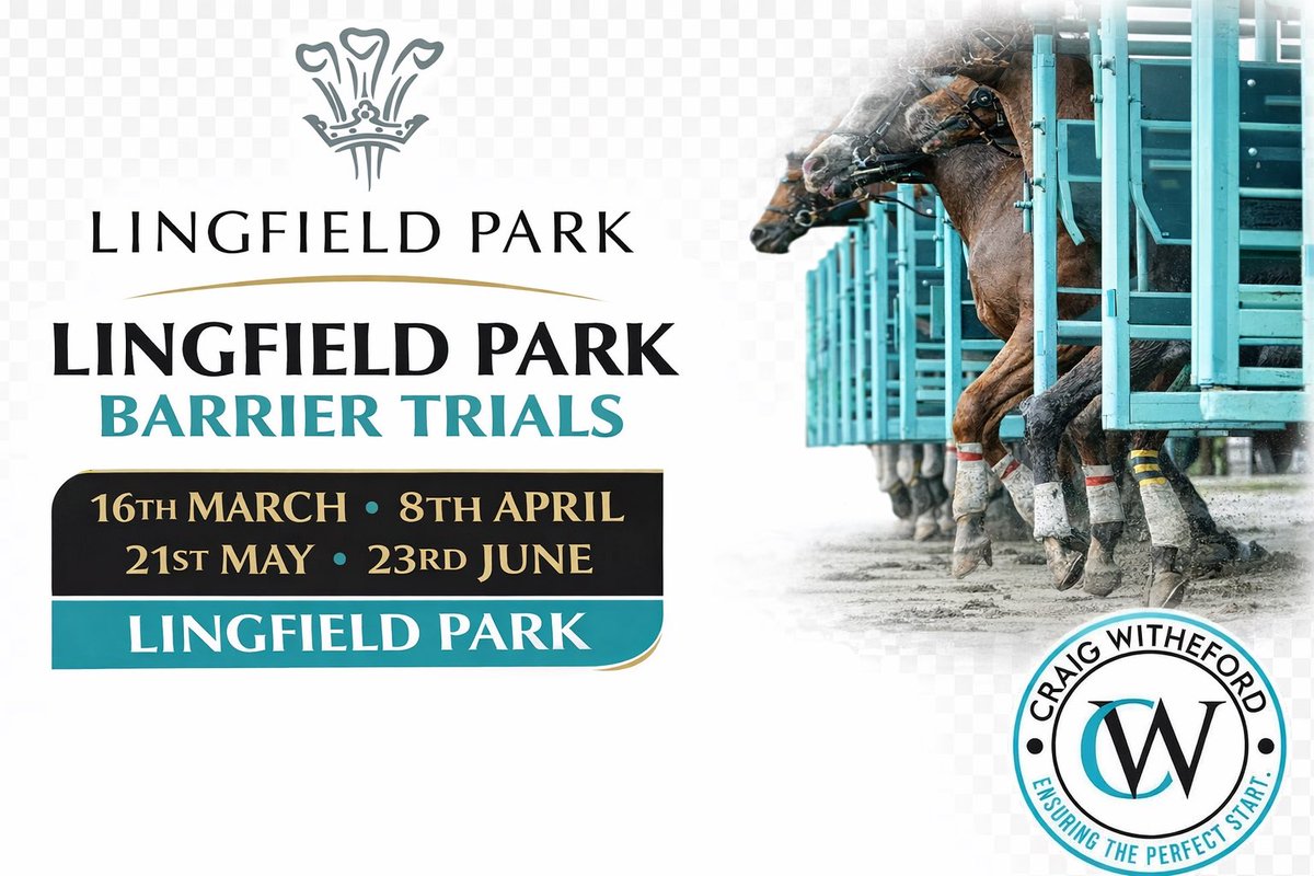 Craig Witheford Ltd tweet media