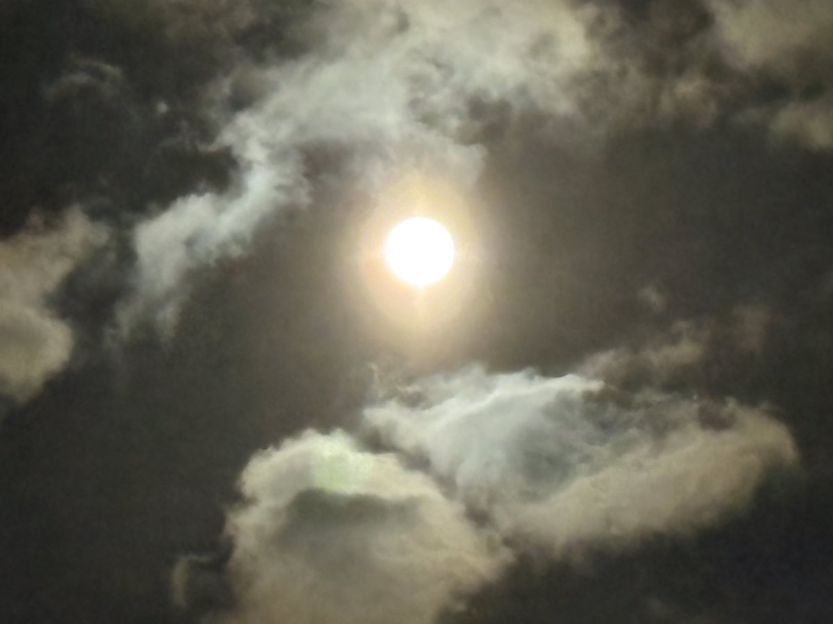 SunshineQupi's tweet photo. ２月の満月は2026/2/２  07:09　獅子座♌の位置で満月🌕を迎えました。
ボイドタイム: 2/3　07：55〜 12：21
農事暦: スノウ⛄・ムーン
（「雪月」と呼ばれます。冬は冬でも2月の寒さが一番厳しく、雪に覆われることも多いようです。）
まだまだ寒さが続いていますが、月を見て元気を出そう！ https://t.co/fb2CDLTO7J