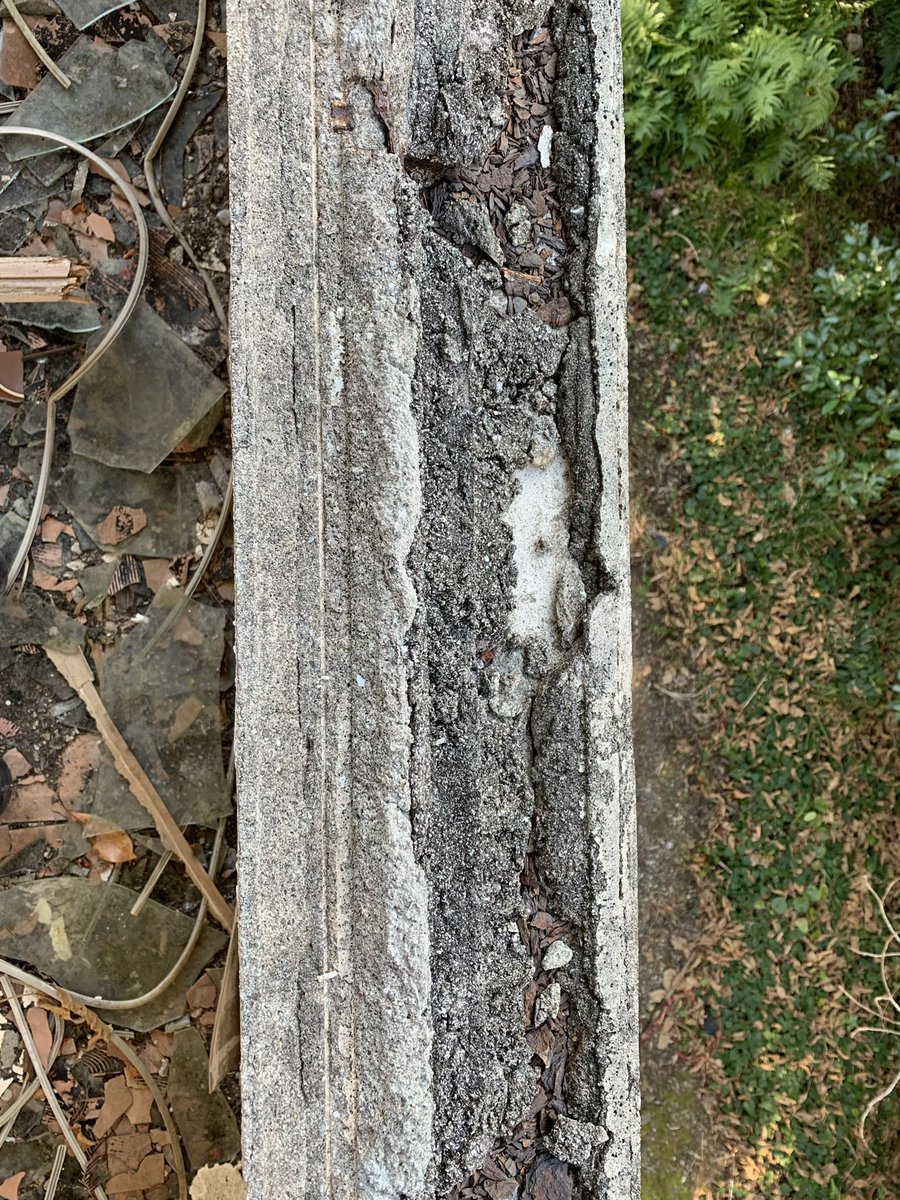 HiroTakeuchi's tweet image. Ruined window border.

#ruines
#urbex
#window
#廃墟
#窓