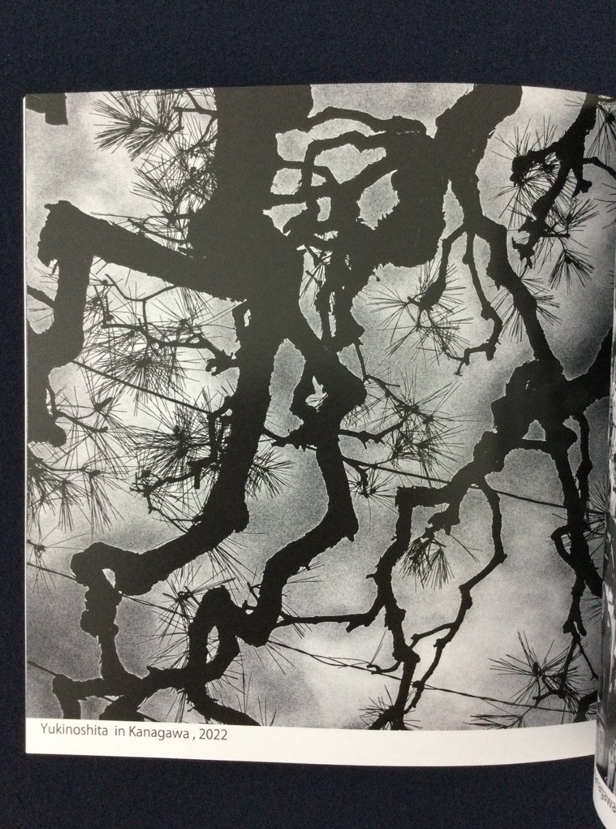 Akira Matsumoto - Days in my life - 2022

Self Published - 36 pages - 21 x 21 cm

First edition. Softcover photobook. In very good condition.

Available on <a href="/Bakunen_Photo/">Bakunen - Rare Photobooks, Records, Art Store</a> 

bakunen.com/akira-matsumot…

#japanesephotobooks #photobooks