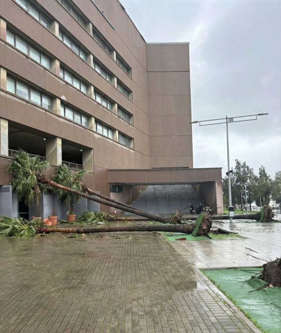 Jose Ramon Dominguez tweet media