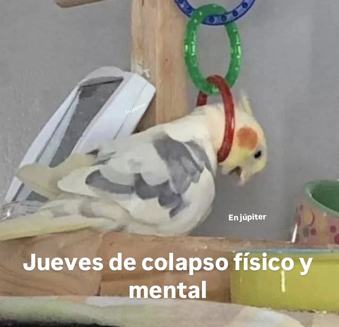 En Júpiter (@en_jupiter_) on Twitter photo 