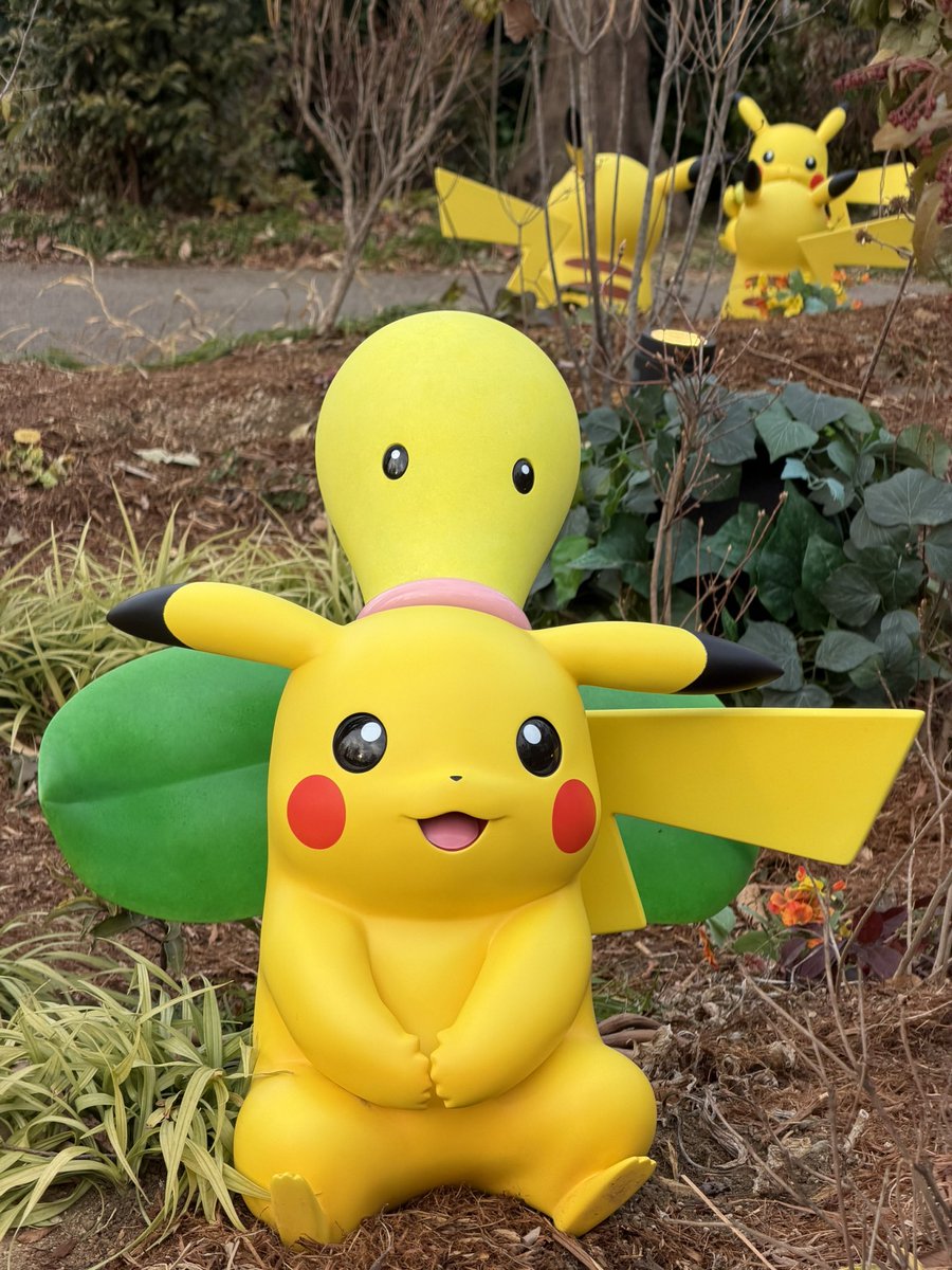 Nokia_448's tweet photo. ポケモンフォレストのピカチュウたちの中に、撮る角度によってマダツボミに頭吸われてるピカチュウいた🤣
ほかの子もみんな表情豊かで楽しい😂
#ポケパークカントー https://t.co/AxRNOrGvN8