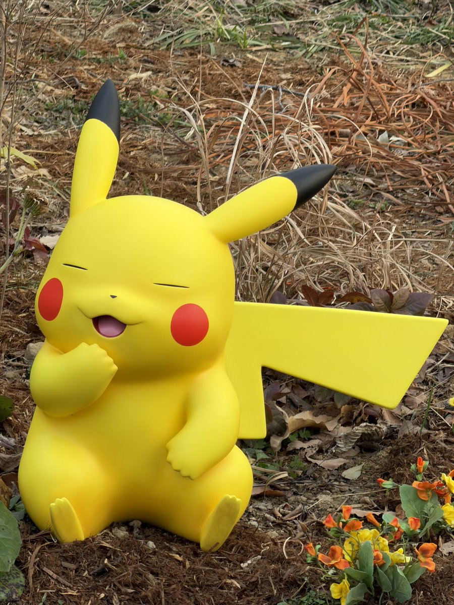 Nokia_448's tweet photo. ポケモンフォレストのピカチュウたちの中に、撮る角度によってマダツボミに頭吸われてるピカチュウいた🤣
ほかの子もみんな表情豊かで楽しい😂
#ポケパークカントー https://t.co/AxRNOrGvN8