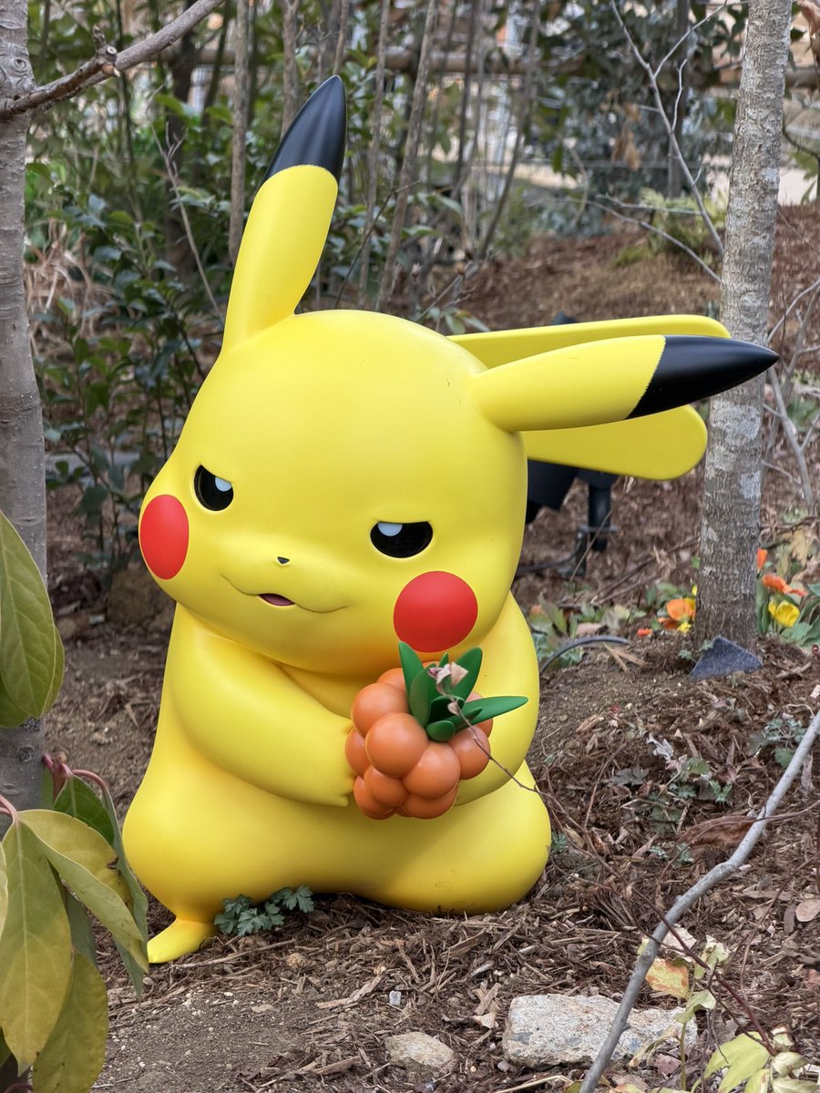 Nokia_448's tweet photo. ポケモンフォレストのピカチュウたちの中に、撮る角度によってマダツボミに頭吸われてるピカチュウいた🤣
ほかの子もみんな表情豊かで楽しい😂
#ポケパークカントー https://t.co/AxRNOrGvN8