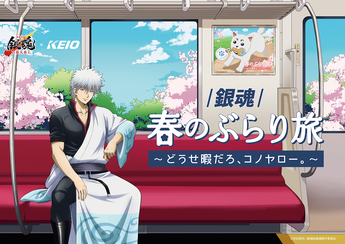 GINTAMA_PR's tweet photo. 【コラボ】
🚃京王電鉄で巡る
『銀魂』春のぶらり旅
～どうせ暇だろ、コノヤロー。～
開催決定🌸

デジタルスタンプラリーや
コラボグッズにコラボフードなど続々！
詳細は⇒@gintama_burari

期間：2026/2/21(土)～3/29(日)
（Creative Plus／K）
#gt_pr #gintama #銀魂春のぶらり旅 https://t.co/qPhr0ZAma9