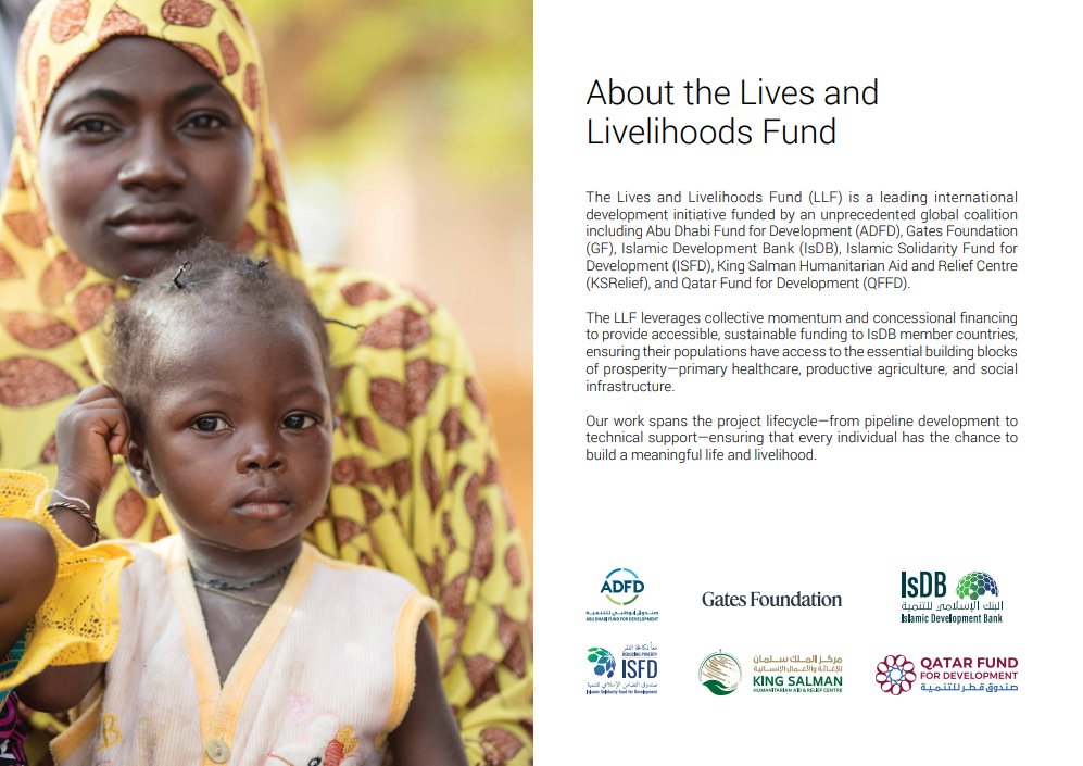 Lives and Livelihoods Fund (LLF) tweet media