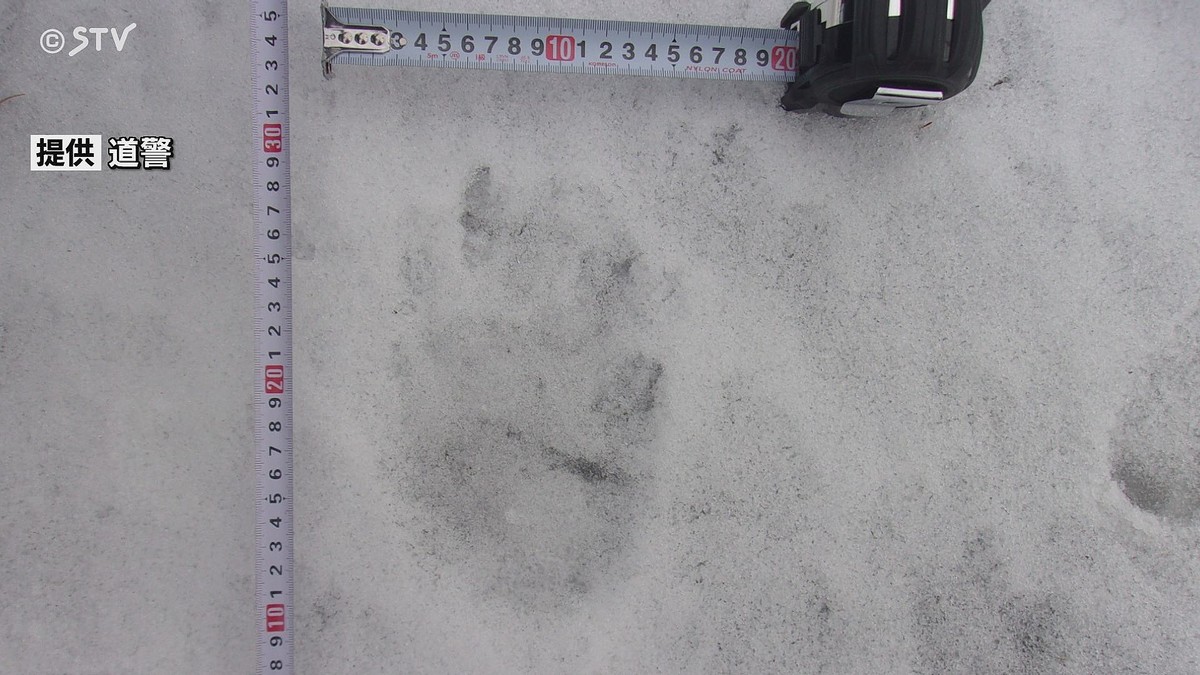 【警戒】中学校のグラウンドに幅15cmのクマの足跡、冬眠から目覚めたか 北海道・函館
news.livedoor.com/article/detail…

雪の上に残されていた足跡は幅15センチで、その上に重なるように小さな足跡も見つかったという。警察は、親子グマの可能性があるとみて、住民に注意を呼びかけるなど警戒を強めている。