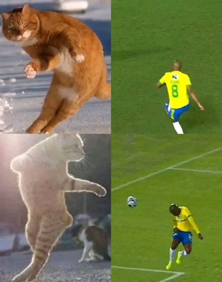 Yandils___'s tweet photo. Goal!! https://t.co/OEoKdRtHJI