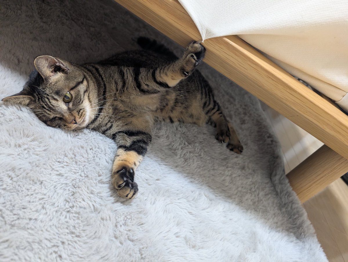 skkn🐐 (@skknyuki) / Posts / X