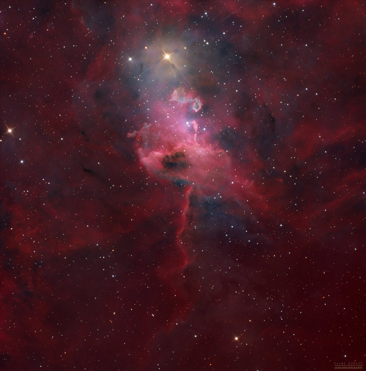 Jaume Zapata tweet media