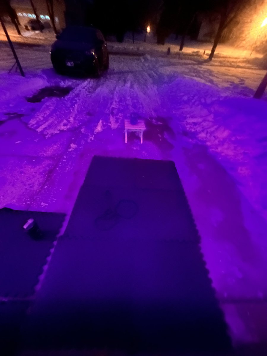 Matt Saluan tweet media