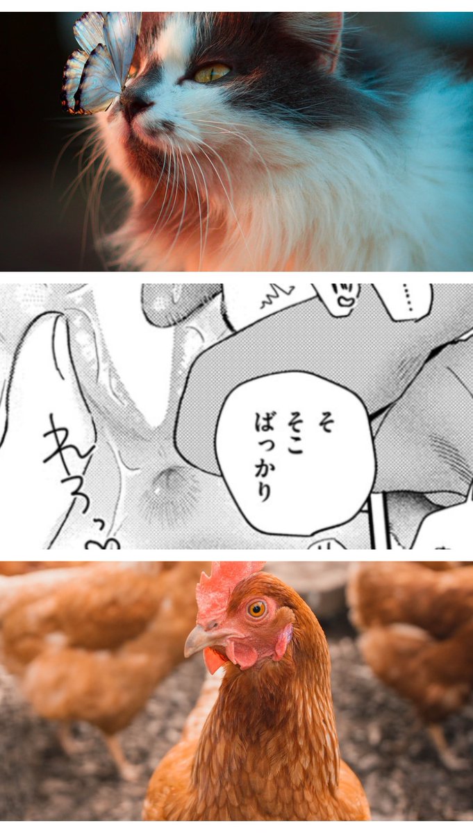 BAZZ_SENN's tweet photo. 二度と忘れられない気持ち
(1/7) SFW https://t.co/oVaJFhkA7m