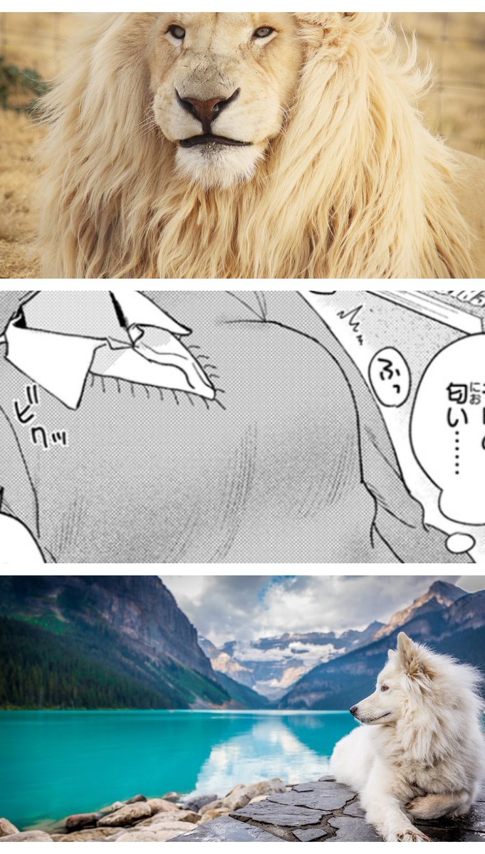 BAZZ_SENN's tweet photo. 二度と忘れられない気持ち
(1/7) SFW https://t.co/oVaJFhkA7m