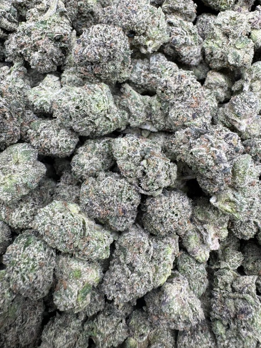 ExoticZaUS's tweet photo. Ghost Candy
Sweet candy flavor with a loud aroma and smooth smoke. Heavy-hitting effects, exotic bag appeal, and straight top-shelf quality from start to finish. #GhostCandy #CandyGas #ExoticFlower #LoudPack #TopShelfOnly #PremiumSmoke #GasLife #DMForInfo https://t.co/8WvsXe6005