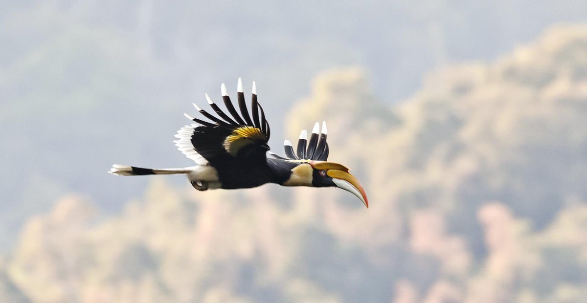 Alan Davies tweet media