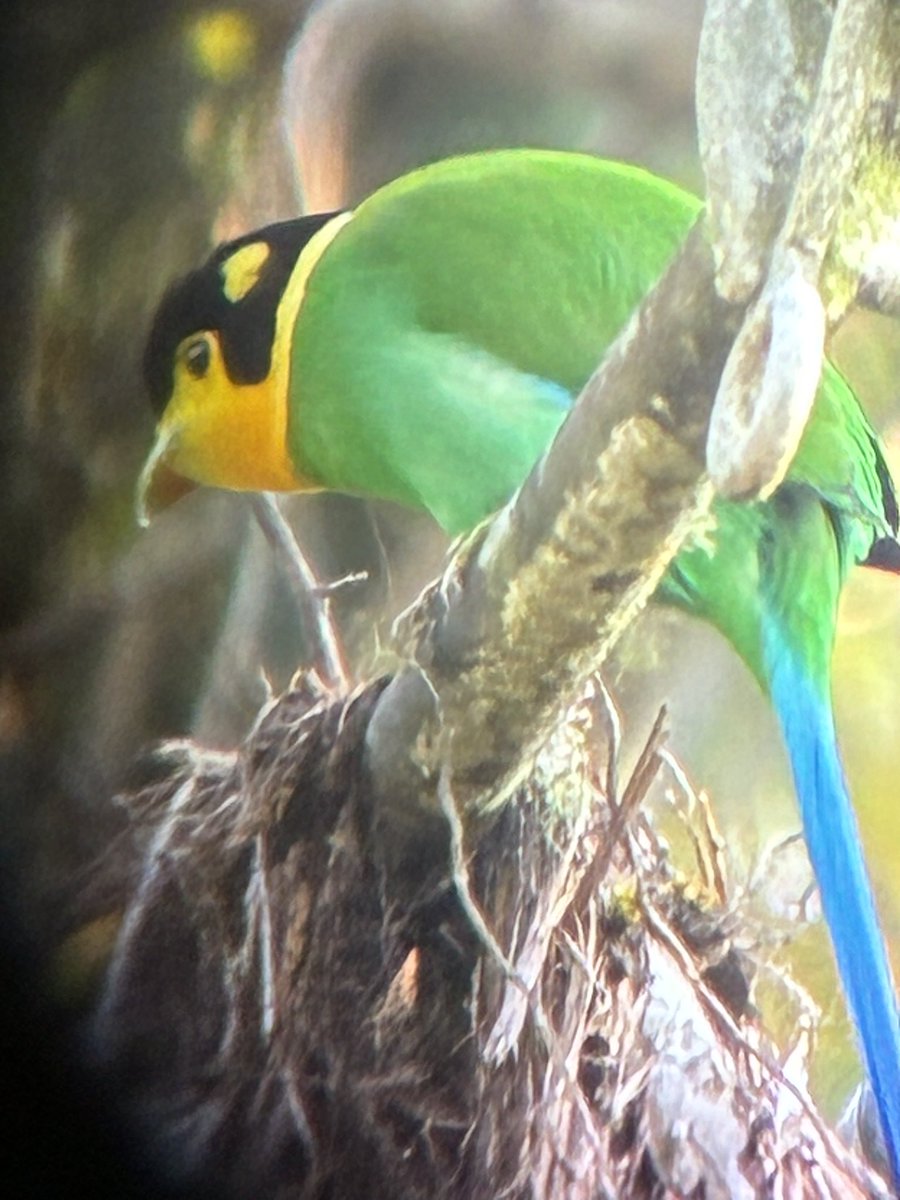 Alan Davies tweet media