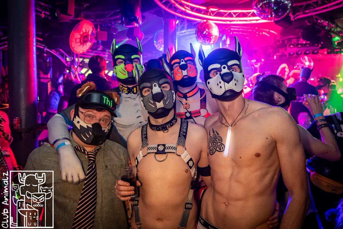 Pup Blake tweet media