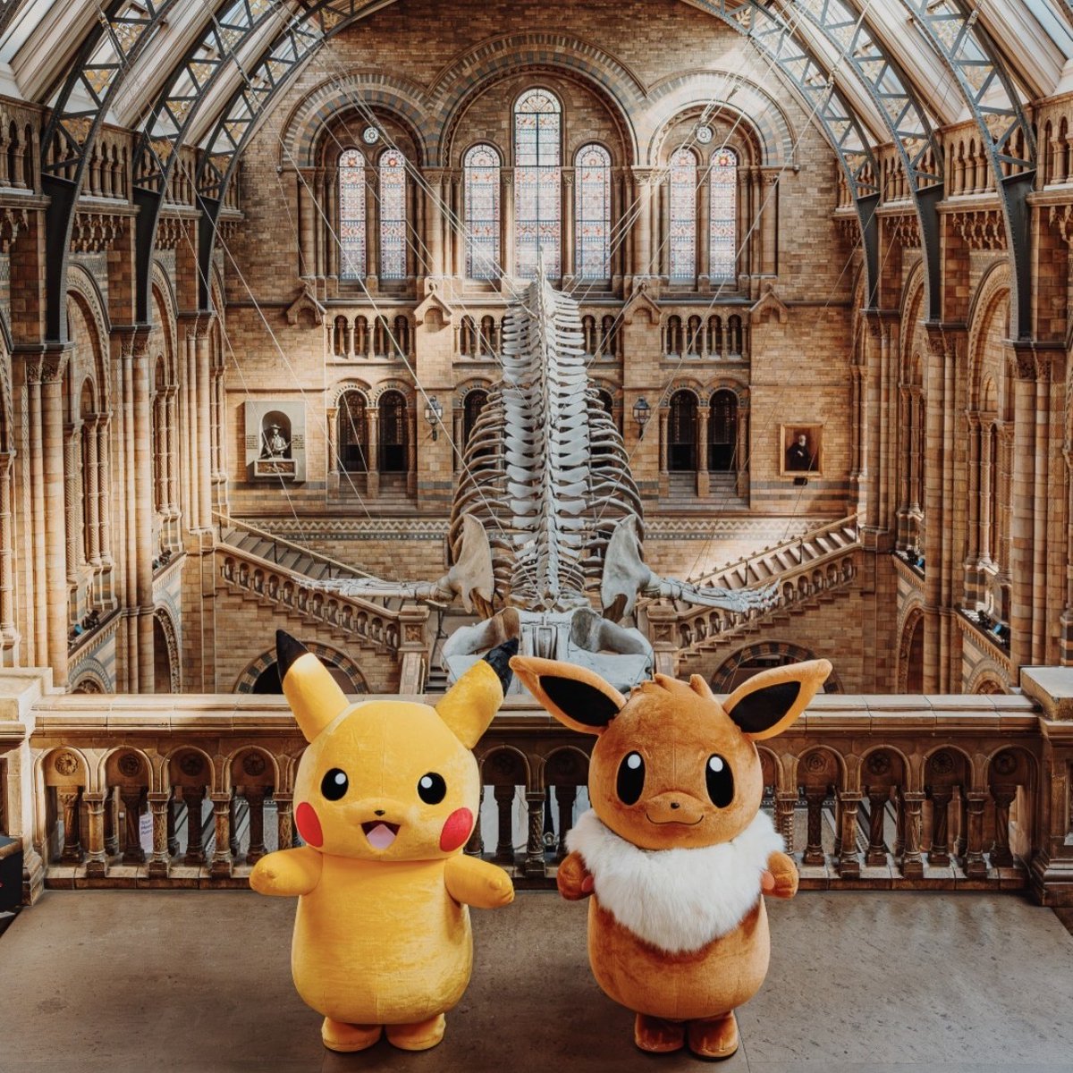 Rainbow Productions tweet media