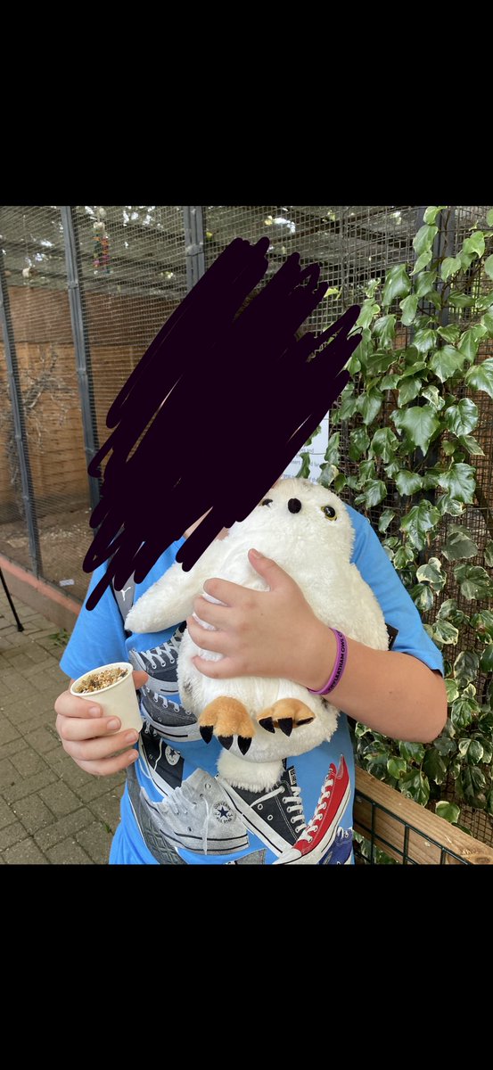 Paula Curtis tweet media