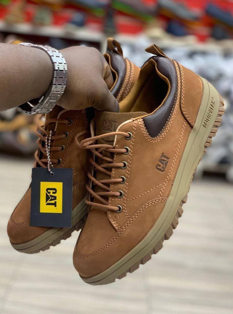 Queen Online Business tweet media