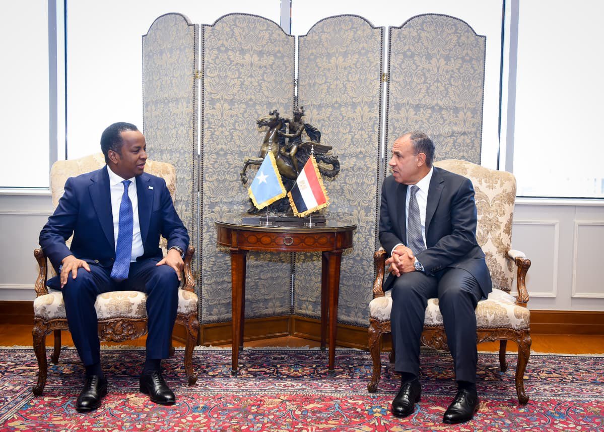 Egypt MFA Spokesperson tweet media