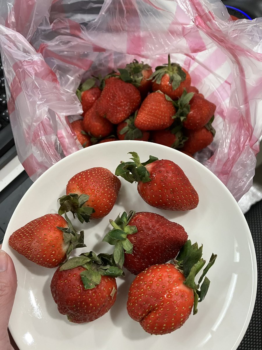 SnakeWolf's tweet image. 我是草莓富翁！這堆一百而且超甜，快收攤的市場就是讚