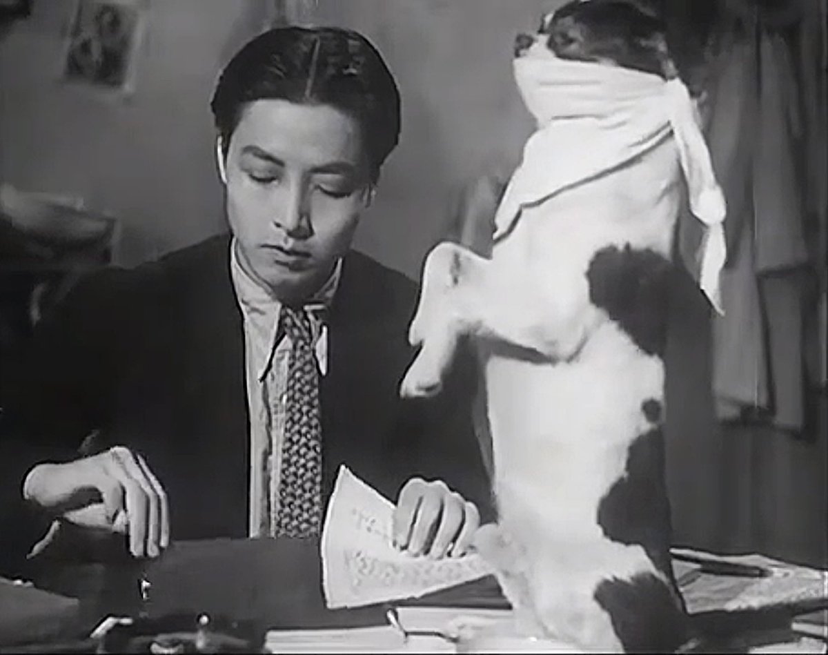 文文是小猪 tweet media