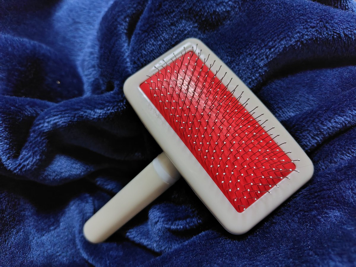 百均に売ってたペット用のブラシで髪梳かすの気持ちいいしサラサラになる
最近これしか使ってない