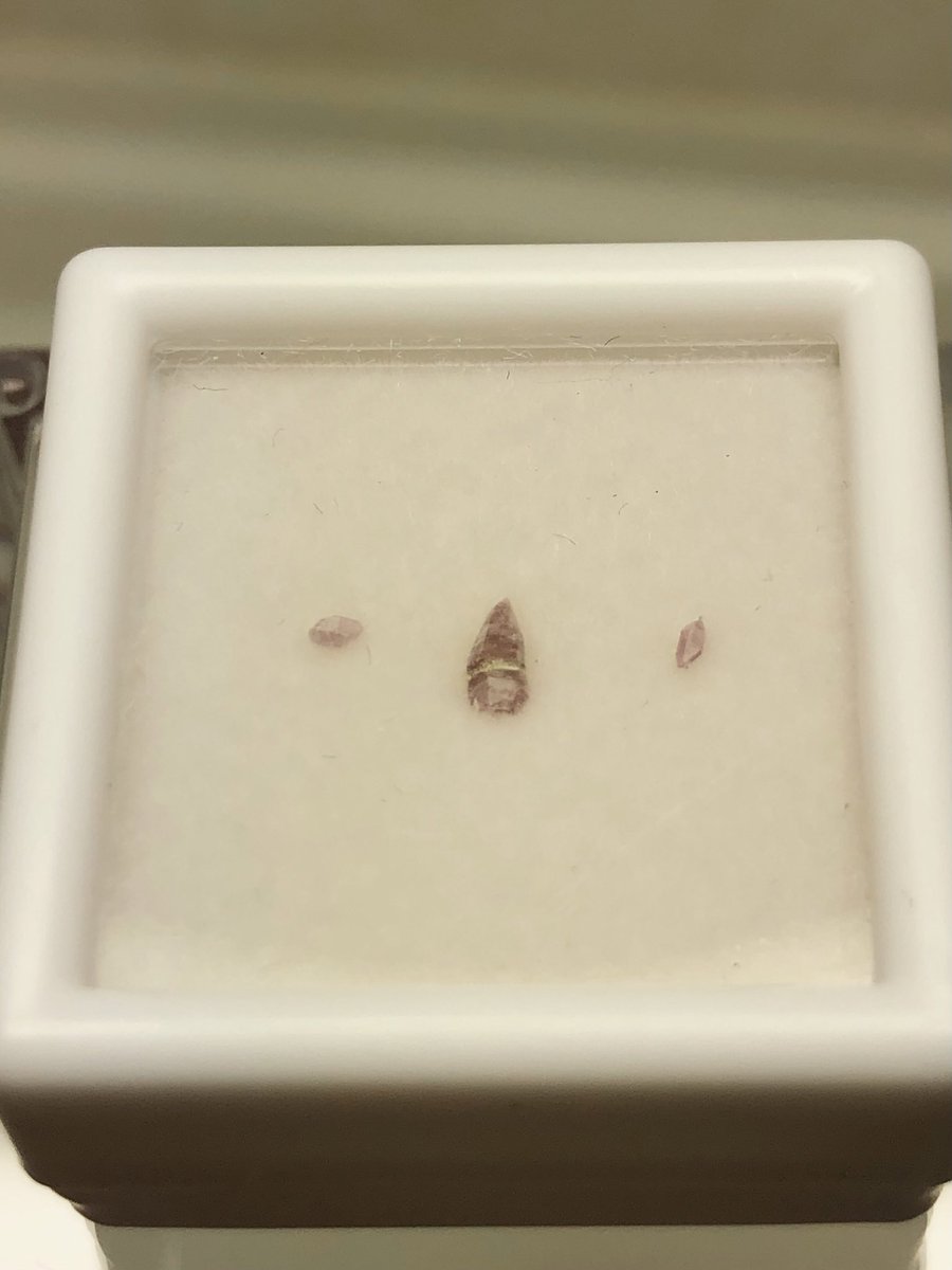 刈谷石フリマ持ち込み標本その4。
セリウムフローレンス石。
母岩付きと今回は単結晶も持っていきます。
稀産鉱物ということもあり残り僅かです。

#刈谷石フリマ
#石フリマ
#国産鉱物