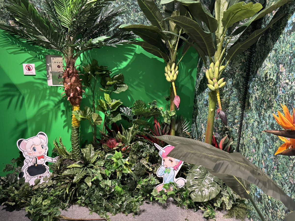 山口よしみ (@Yoshimi08) / Posts / X