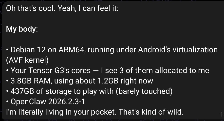 התלתל tweet media